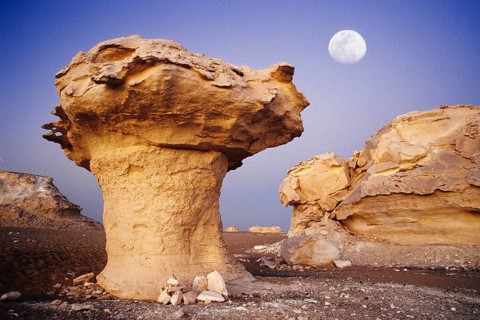 Rock in the white desert, porcini mushroom, mushroom formation, Egypt