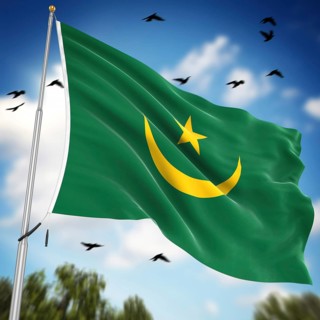 Flag of Mauritania, This is a computer generated and 3d rendered image