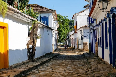 View into typical narrow cobblestone street with colonial buildings with an old tree climbing up