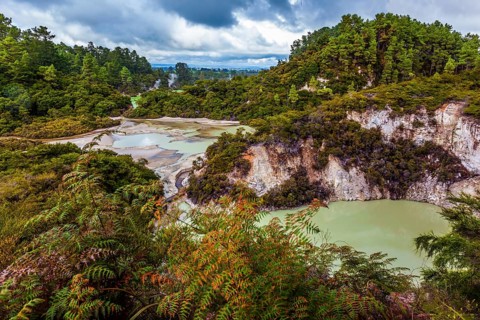 Thermal Wonderland is Wai - O - Tapu. Picturesque lake with green water. New Zealand, North Island.