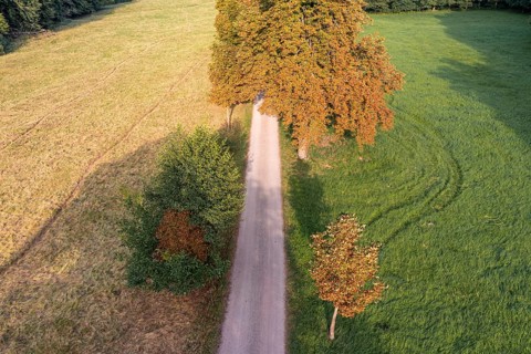 The Selketal valley between Meisdorf and Mägdesprung Selketalstieg natural landscape