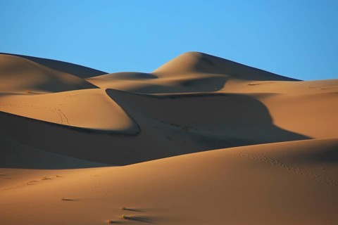 Cold shades and traces of animals on sand of the White dune Eureka. Deadh Valley of the USA