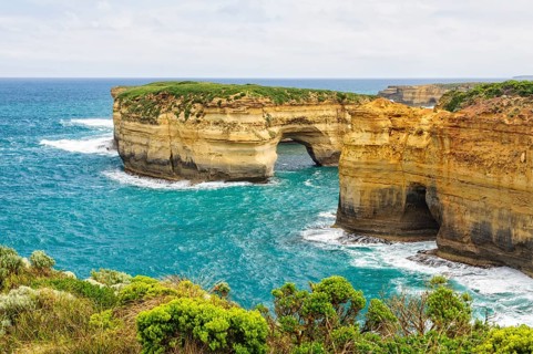 Mutton Bird Island is the home to thousands of short-tailed shearwater from October to April, Port