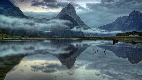 Milford Sound, fog, reflection, lake, South Island, mountains, New Zealand, Milford Sound, South