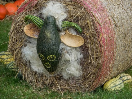 Hay bale with painted pumpkin face and decoration in autumn garden, borken, münsterland, Germany