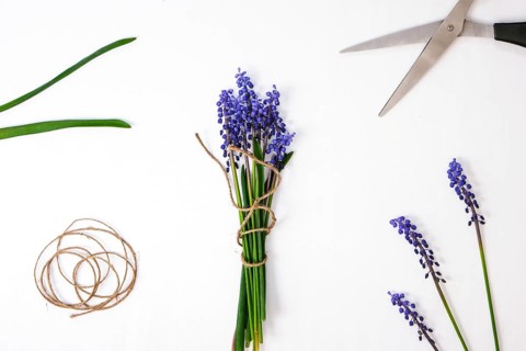 Female hands collect bouquet of blue muscari as a gift. Pruning flowers. Local small business