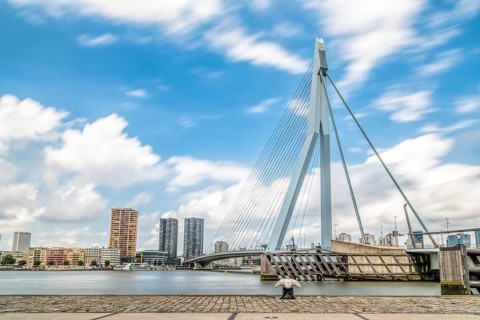 Rotterdam, Netherlands, August 6, 2016: The 800-metre long Erasmus Bridge spans the Maas River and