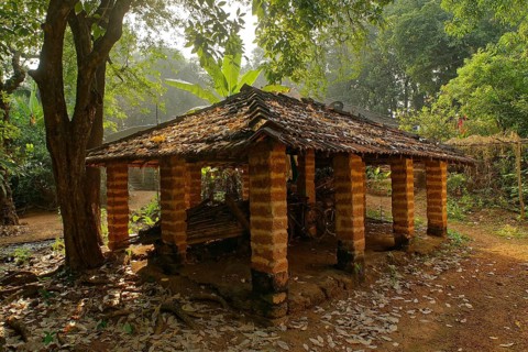 Cattle shed, sindhudurg, Maharashtra, India, Asia