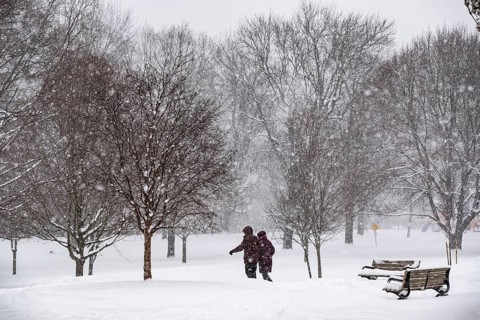 Heavy snow squalls of lake-effect snow falls over Springbank Park in London, Canada. Environment