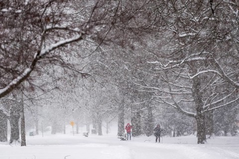 Heavy snow squalls of lake-effect snow falls over Springbank Park in London, Canada. Environment