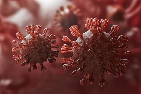 Super closeup Coronavirus COVID-19 in human lung body background. Science and microbiology concept.