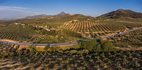 Metal bridge over the olive grove, Greenway of Oil Natural Trail, Alcaudete, Jaén province,