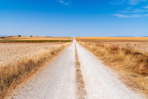 Dirt road through huge grain fields in the morning in summertime. Burgos, Spain