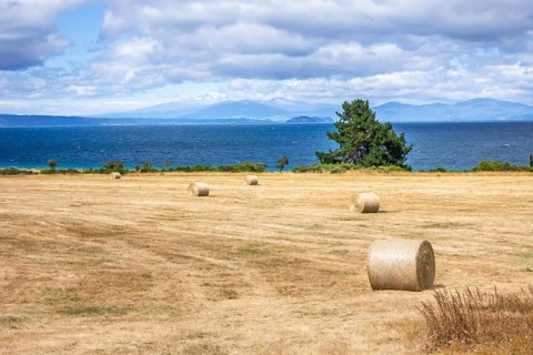 An image of lake Taupo New Zealand