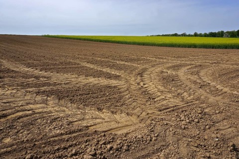 Field with tractor tracks, prepared for sowing, Swabian Alb, Field with tractor tracks, prepared
