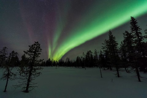 Northern Lights (Aurora borealis), Muddus National Park, Laponia World Heritage Site, Norrbotten,