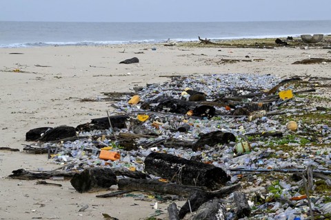 Plastic waste washed ashore, Loango National Park, Parc National de Loango, Ogooué-Maritime
