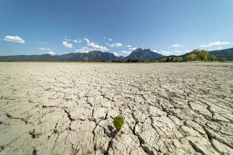 Cracked, dried out ground, waterless Forggensee in spring, behind it Tegelberg massif and Säuling,