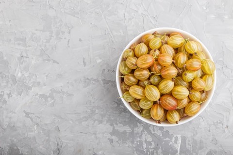 Fresh green gooseberry in white bowl on gray concrete background. top view, flat lay, copy space