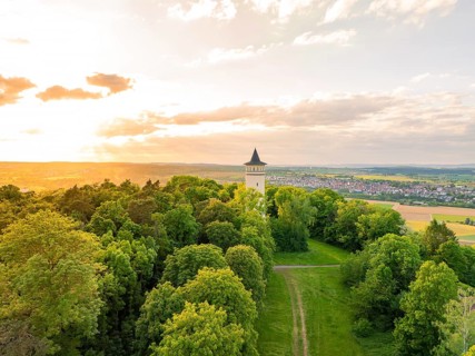 Tower at the edge of the forest, framed by trees, in the soft light of sunset, Engelbergturm,
