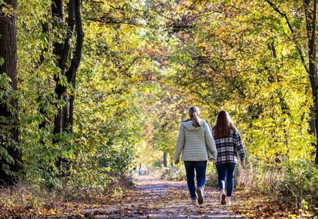 A walk through a colourful autumn forest. Two young woman on a circular path on the banks of the