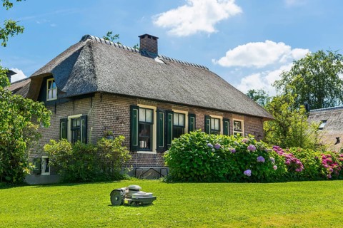 Thatched roof house, house, farmhouse, village, village, mowing robot, lawn, flowers, well-kept,