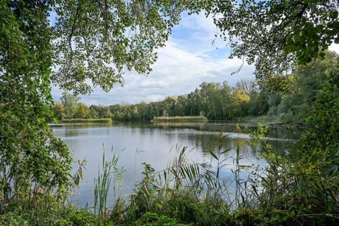 Pond, Deetzer Erdlöcher, Groß Kreutz, Brandenburg, Germany