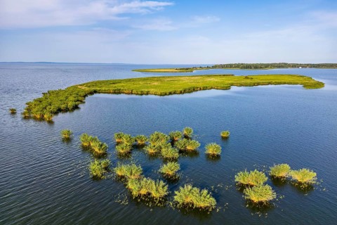 Aerial view, drone photo: Lysa Wyspa island covered with reeds, Kahleberg, Nowe Warpno, Szczecin