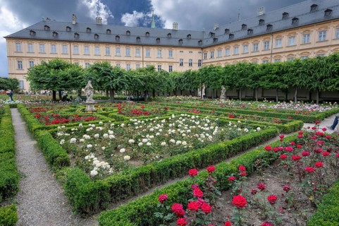 Rose Garden, behind the New Residence, Bamberg, Upper Franconia, Bavaria, Germany