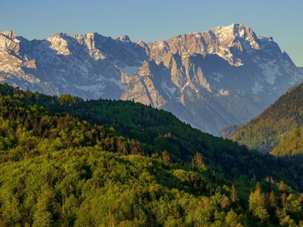 Aerial view, trees, forest, light green leaves, morning light, mountains, sunny, spring, near