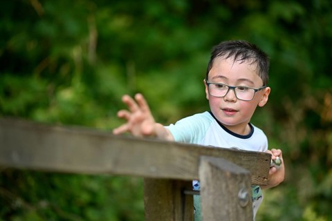 Child, boy aged 5, multi-ethnic, playing with marbles on XXL marble run, NATURATUM adventure forest