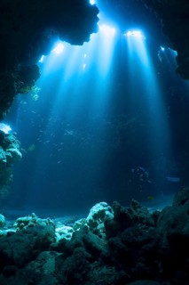 Diver swimming in cave, underwater, light rays, sun rays, dive site Shaab Claudia reef, Red Sea,