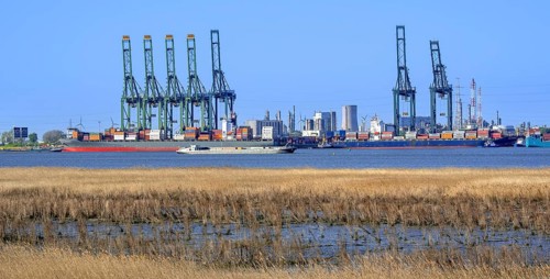Gantry cranes and stacked containers on container ships docked at container terminal in the port of