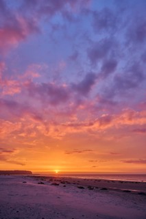 Colorful sunset on the beach with Grey seal (Halichoerus grypus) lying lying on it, Düne,