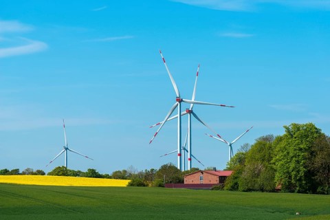 Small wind farm between agricultural areas, rape cultivation, barley, deciduous trees, close to the
