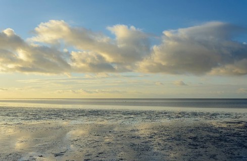North Sea, Wadden Sea at low tide, blue sky with low clouds (cumulus), Norddeich, Lower Saxony,