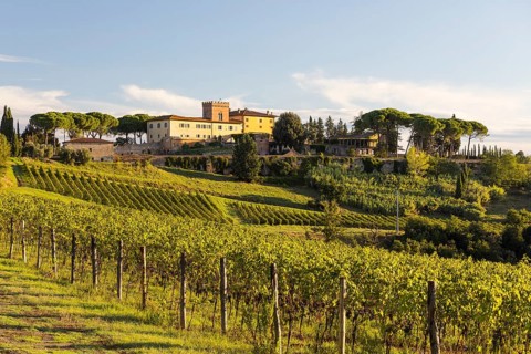 Luxury holiday home Villa Del Monte surrounded by vineyards and pine trees on a hill near San