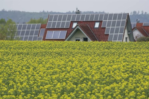 Flowering rape field near Bibersfeld, agriculture, spring, April, solar roof, photovoltaics,