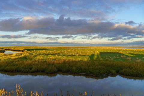 Wide green meadow with clouds and sunlight, shadow on the ground, quiet nature atmosphere,