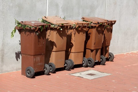 Organic bins, waste bins, Germany