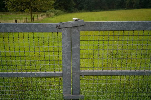 Metal gate for a paddock