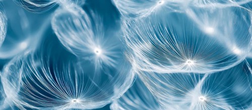 Close-up view of dandelion seeds with a soft, delicate look on a blue background, AI generated