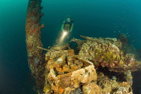 Diver finds live ammunition from World War 2 on Japanese warship Helmet Wreck, Micronesia, Palau