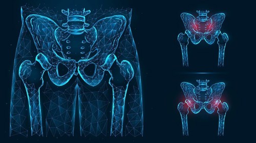 Bones of the pelvis and hip, human anatomy. Pelvic and hip injuries. X ray of the hip joint made of