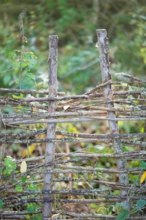 Deadwood hedge in a meadow, practical nature conservation, nesting place and foraging site for