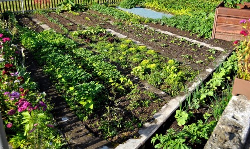 Farm Garden Salad and Vegetables, Matterhorn Gotthard Railway