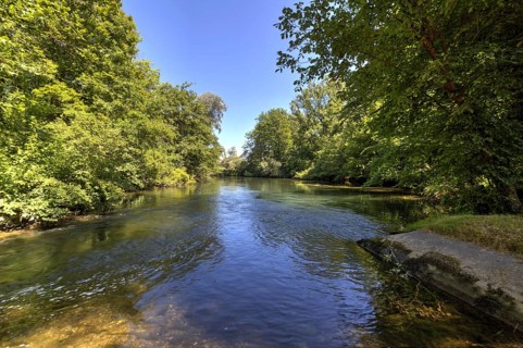 Taubergießen nature reserve