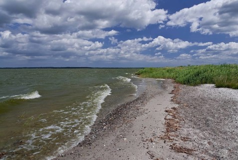 On the Achterwasser on the Gnitz peninsula, Usedom Island, Germany