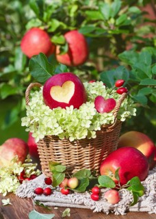 Still life of a rustic wicker basket with a red apple with a heart, white hydrangea flowers and