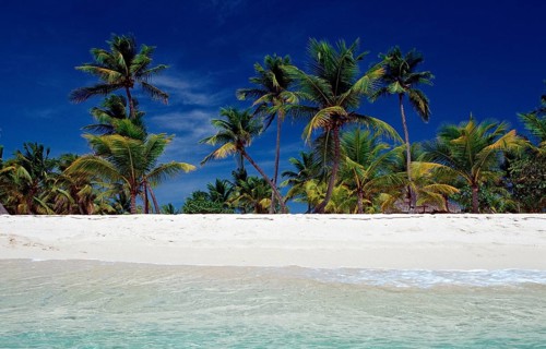 Sandy beach beach, Punta Cana, Caribbean, Dominican Republic